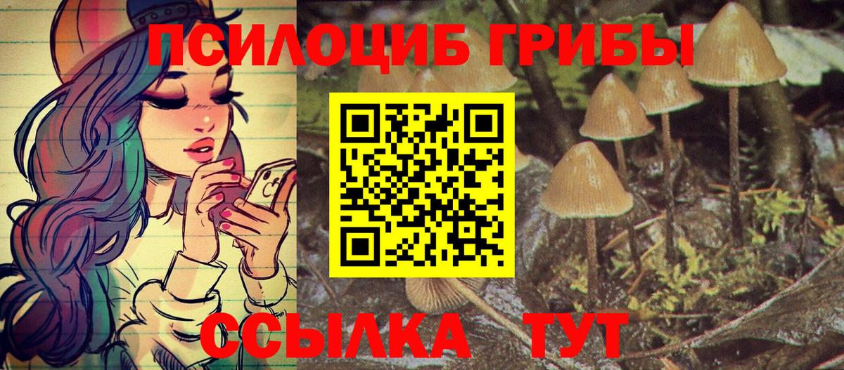 Галлюциногенные грибы Psilocybine cubensis  Вход с VPN  Галлюциногенные грибы Magic Shrooms  Кумертау 