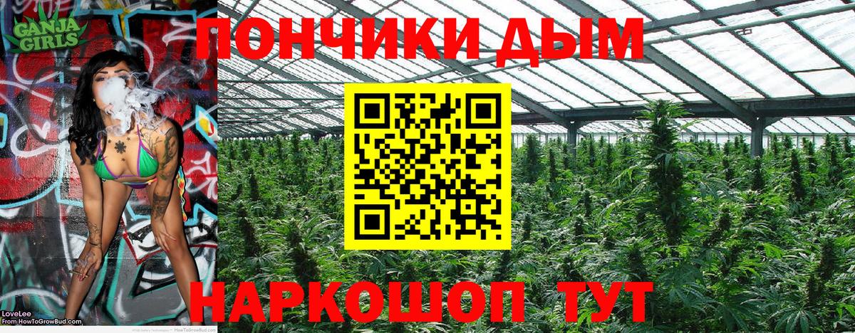 Шишки марихуана ГИДРОПОН  Канабис ГИДРОПОН  Вход с VPN  Канабис VHQ  Кумертау 